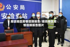廊坊地区疫情回顾报告/廊坊地区疫情回顾报告图片