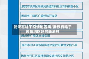 武汉有啥子疫情地区吗/武汉有啥子疫情地区吗最新消息