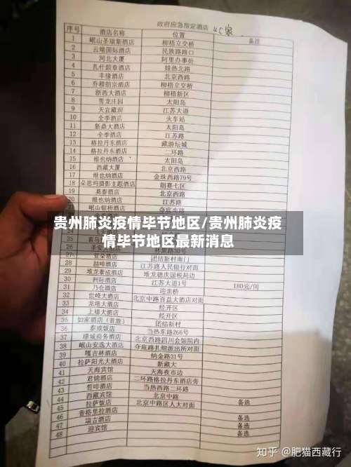 贵州肺炎疫情毕节地区/贵州肺炎疫情毕节地区最新消息-第3张图片