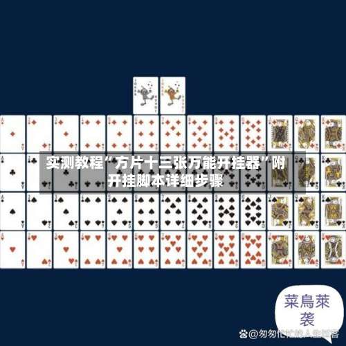 实测教程”方片十三张万能开挂器”附开挂脚本详细步骤-第2张图片