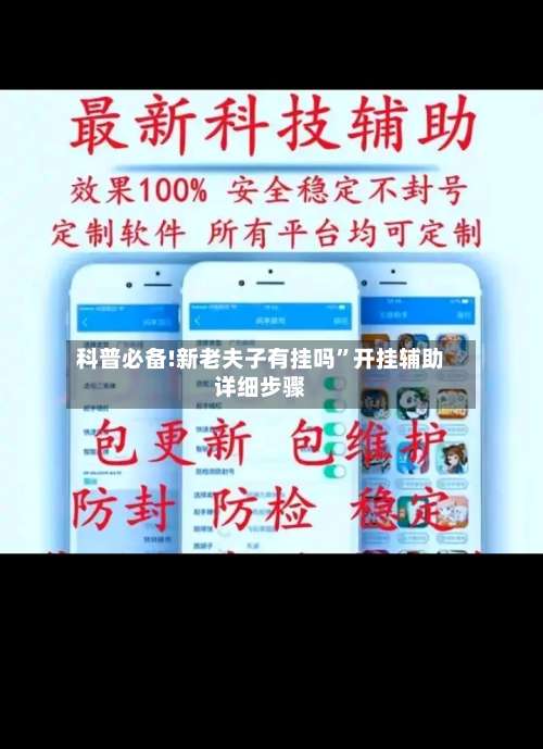 科普必备!新老夫子有挂吗	”开挂辅助详细步骤-第3张图片