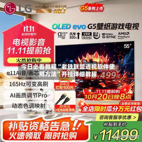 今日必看教程“老铁联盟透视软件使用方法	”开挂详细教程-第2张图片