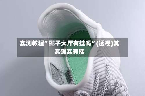 实测教程”椰子大厅有挂吗	”(透视)其实确实有挂-第2张图片