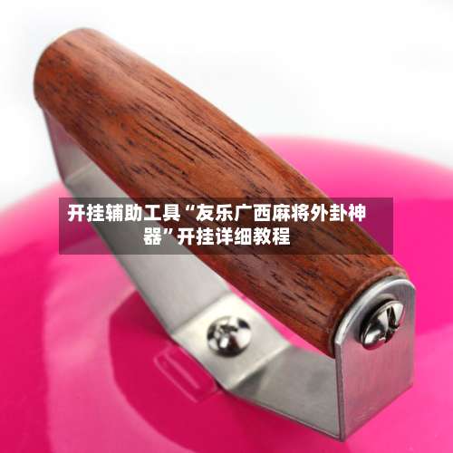 开挂辅助工具“友乐广西麻将外卦神器	”开挂详细教程-第1张图片