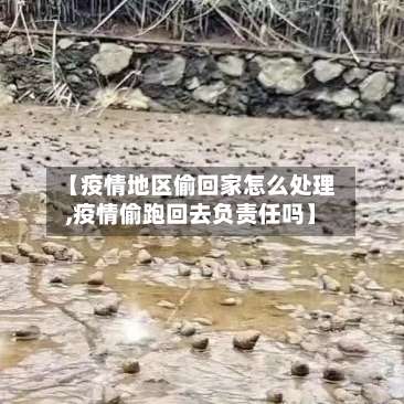 【疫情地区偷回家怎么处理,疫情偷跑回去负责任吗】-第1张图片