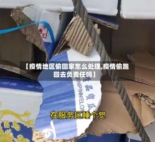 【疫情地区偷回家怎么处理,疫情偷跑回去负责任吗】-第2张图片